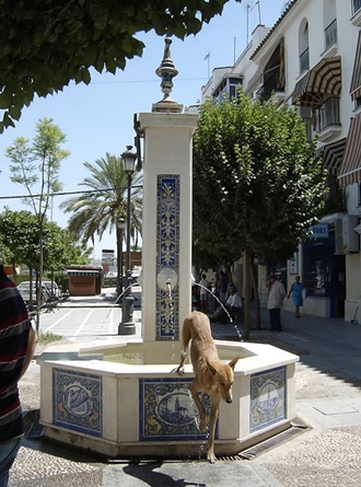 Fuente de la Plaza de Los Mesones