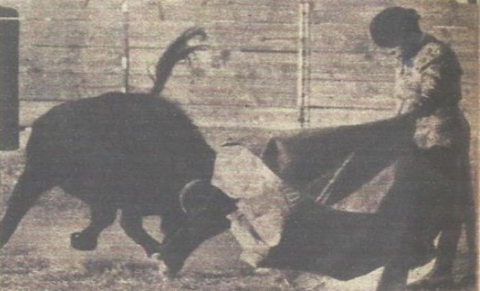 la saga de Los Rabanillos