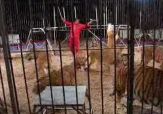 De algunos hechos, sucesos, anécdotas y otras noticias relacionadas con la Ciudad de Écija. Encontradas en las Hemerotecas Españolas. (Capítulo XLIX)