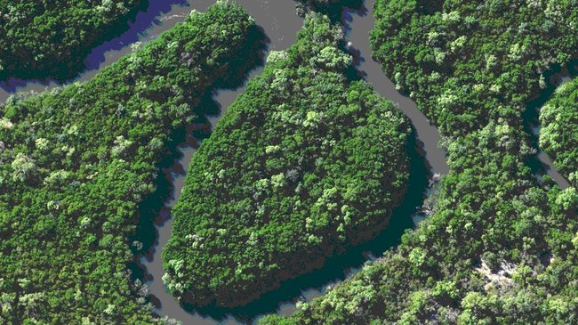 Los enlaces de la vida