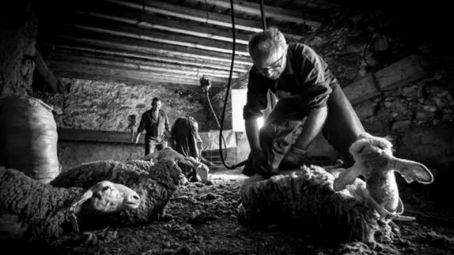 muestra fotográfica