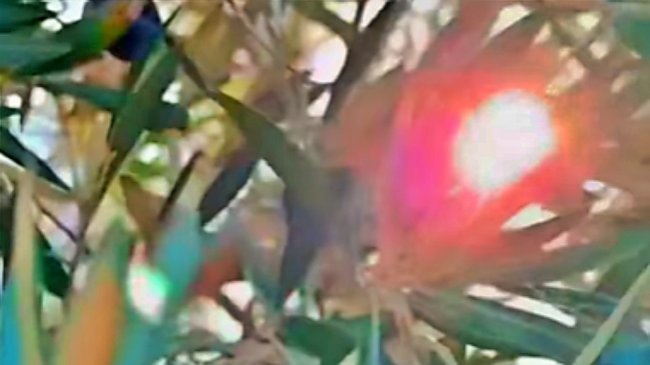 hectáreas agrícolas