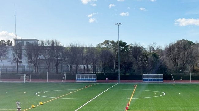 nuevo césped artificial