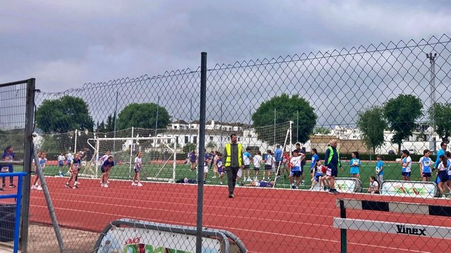 olimpiadas comarcales