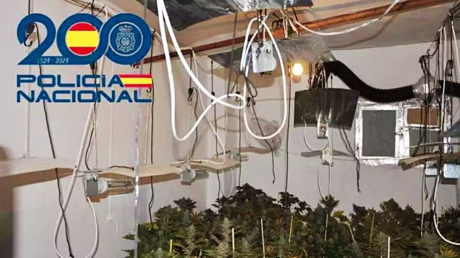 Seis detenidos con 60 kilos de marihuana en Écija