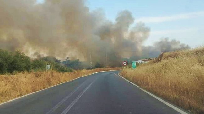 incendio ribera del río Genil