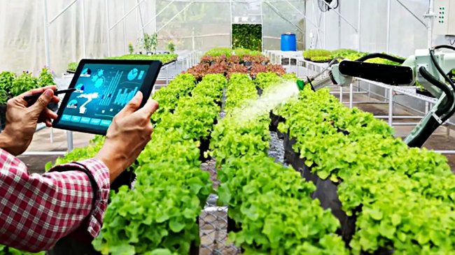 proyecto europeo ‘Eit Dtti project’