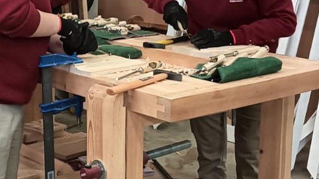 programas de empleo y formación