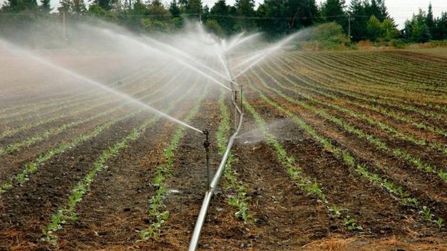 agricultura de riego