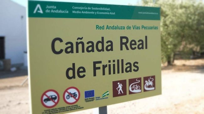 Cañada Real de Friillas