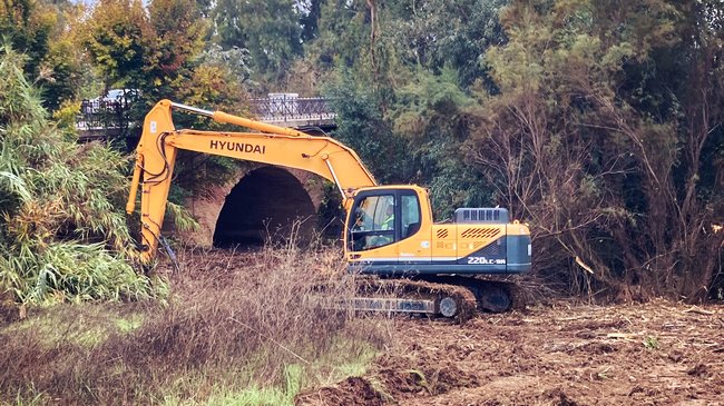 trabajos de desbroce y limpieza