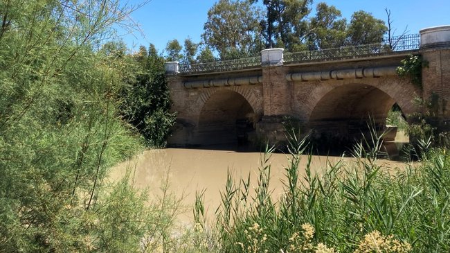 entorno del puente romano