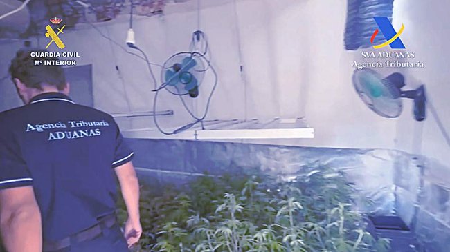 contrabando de tabaco falsificado y tráfico de drogas