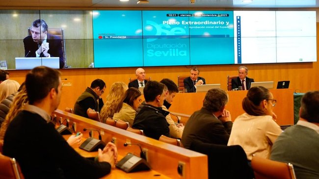 pleno de la Diputación Provincial de Sevilla