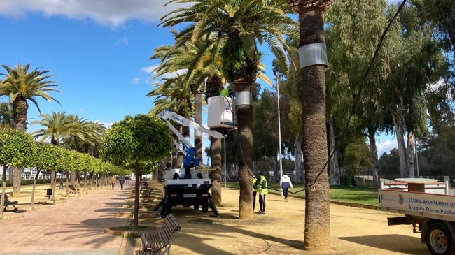 poda, limpieza y arreglos en el parque San Pablo