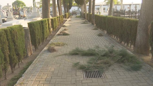 poda en el cementerio municipal