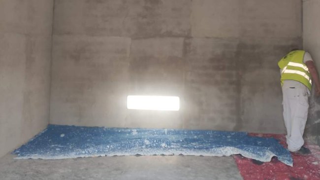 refugio de las colonias de gatos