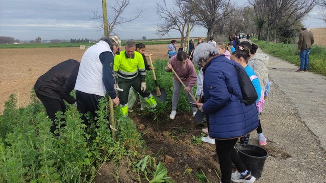 plantan una quincena de árboles en la vía verde