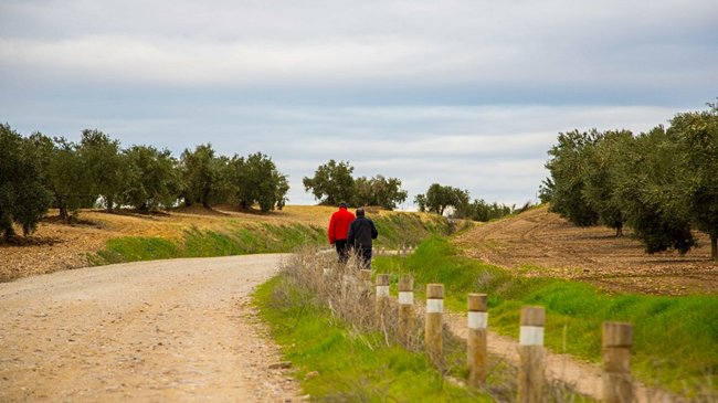 vía verde de Écija