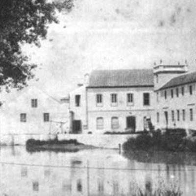 Fabricas Harina Electricidad 2